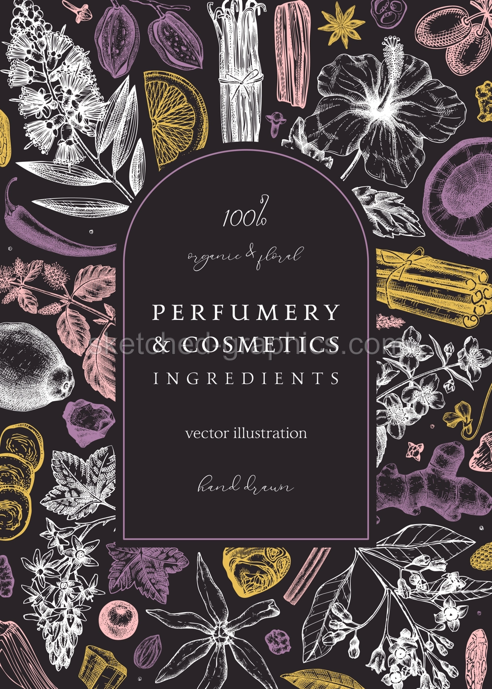 Aromatic plants card template. Perfumery ingredients frame. Flower, fruit, spice, herb sketches. Hand drawn vector illustration. Cosmetics packaging concept on chalkboard Illustration
